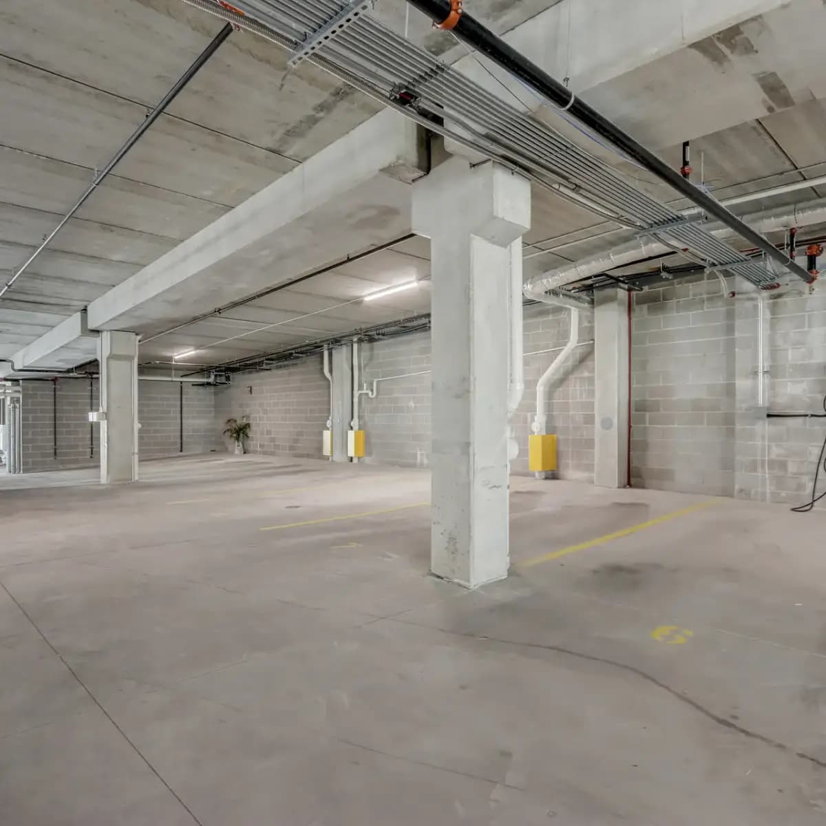 undefined apartments for rent - image - 36_s_5th_st_036.jpeg.webp