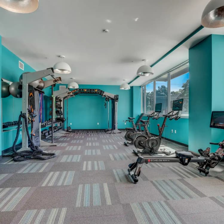 undefined apartments for rent - image - 43_s_5th_st_043.jpeg.webp