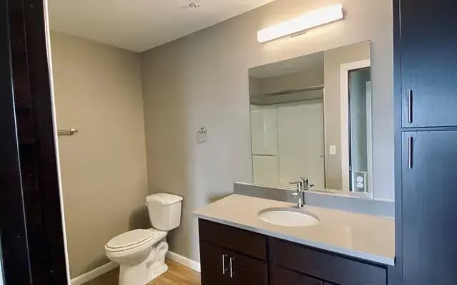 undefined apartments for rent - image - honey_creek_place_bathroom_2_(unit_506).jpeg.webp