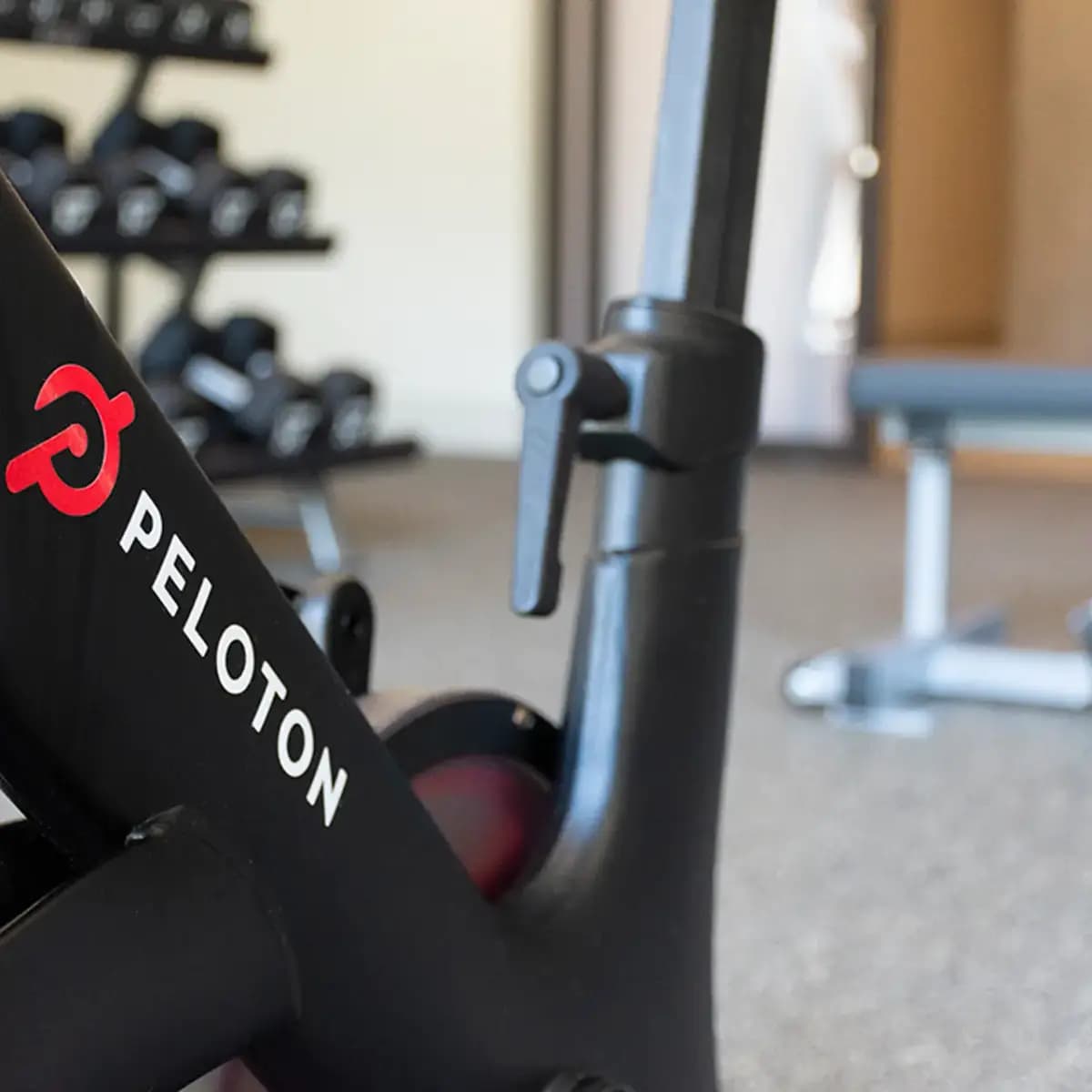 undefined apartments for rent - image - easton_apartments_fitness_center.jpeg.webp