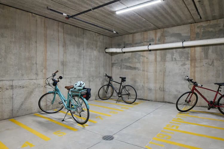 undefined apartments for rent - image - 240702_Harmoniq_TheFitz_015_Web.jpg.jpeg