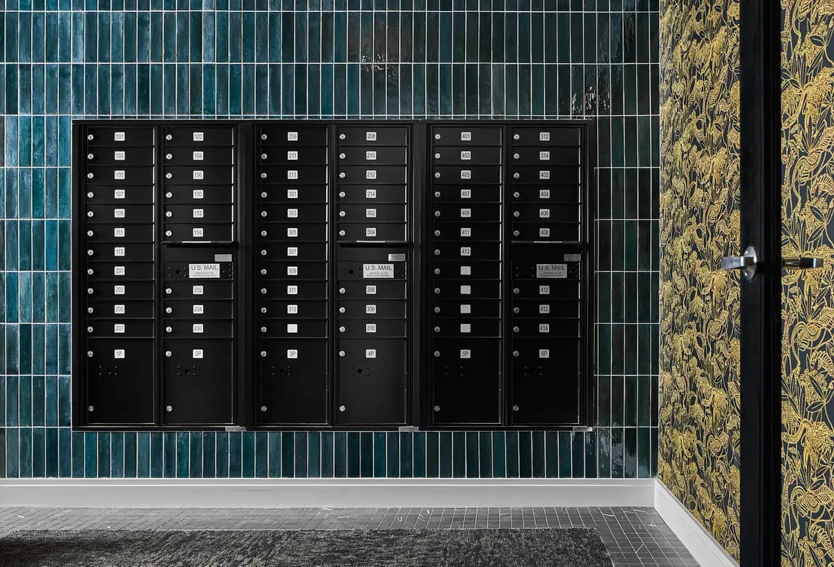 undefined apartments for rent - image - 240702_Harmoniq_TheFitz_016_Web.jpg_1.jpeg