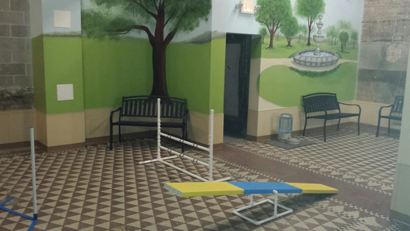 undefined apartments for rent - image - dog park 2.webp