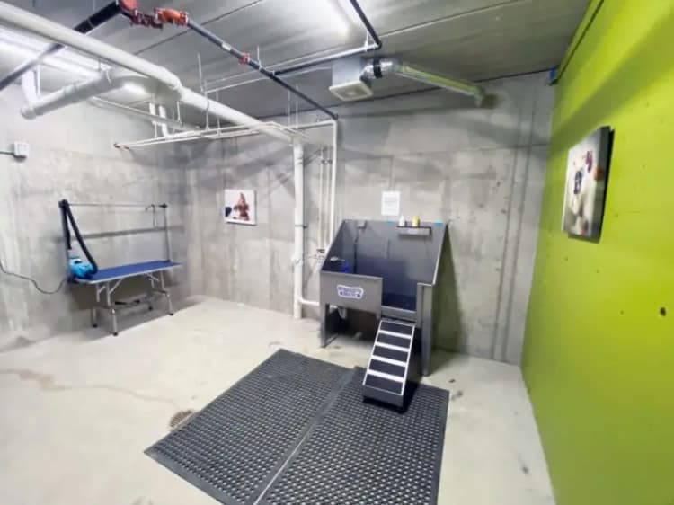 undefined apartments for rent - image - imgi_10_8-E84-Pet-Station-scaled-1-768x576.jpg