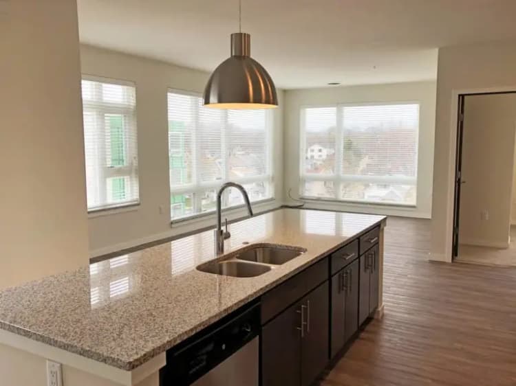 undefined apartments for rent - image - imgi_21_Element-84-Kitchen-8-1-768x576.jpg