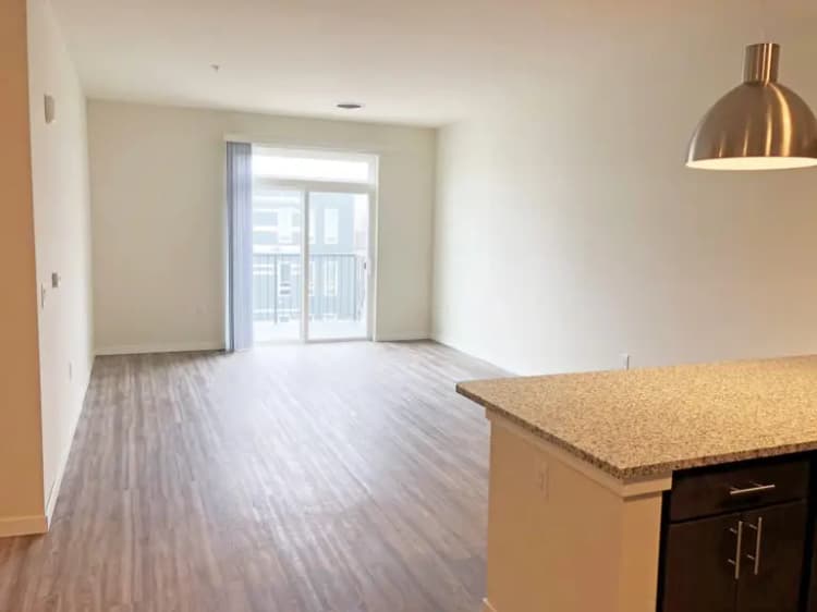 undefined apartments for rent - image - imgi_28_Element-84-Living-2-1-768x576.jpg