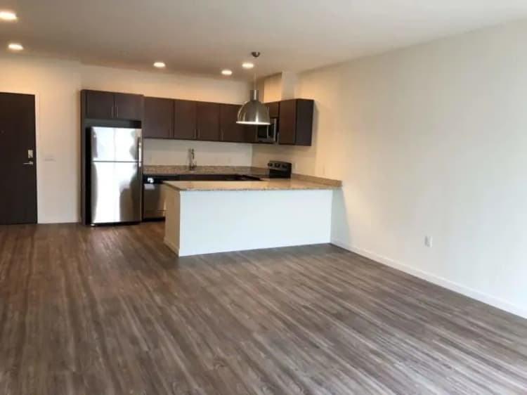 undefined apartments for rent - image - imgi_32_Element-84-Living-Kitchen-1-scaled-1-768x576.jpg