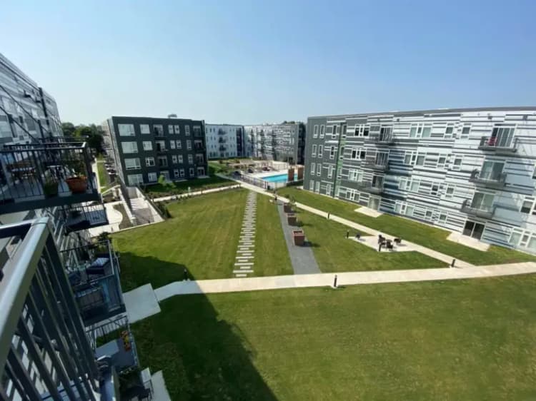 undefined apartments for rent - image - imgi_4_1-E84-Courtyard-2-scaled-1-768x576.jpg