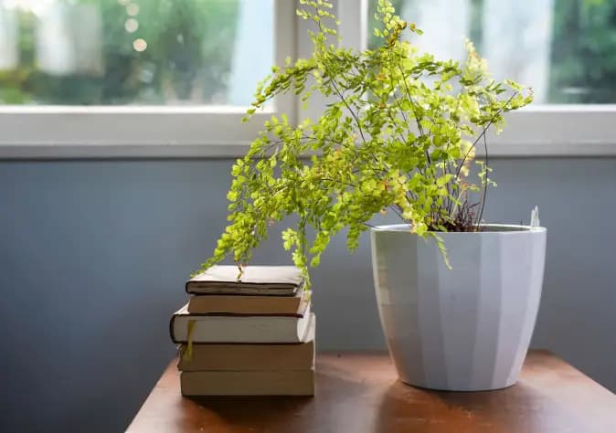 undefined apartments for rent - image - Screenshot 2025-09-12 at 9.37.31â¯AM.png