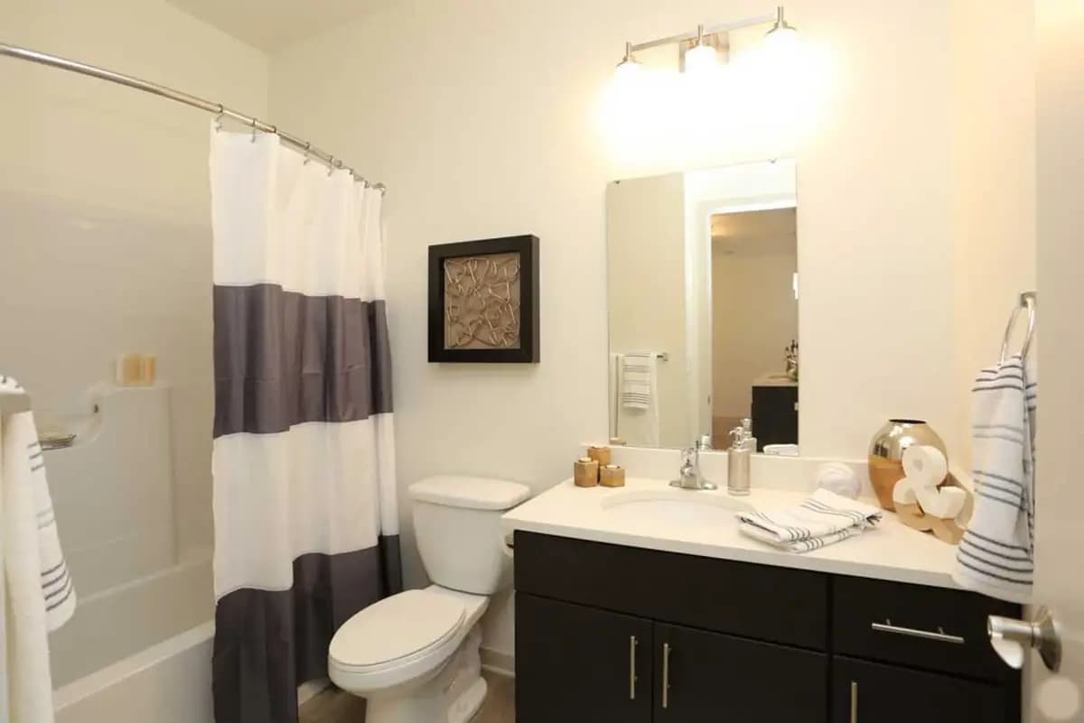 undefined apartments for rent - image - 1633_on_the_park_bathroom.jpeg.webp