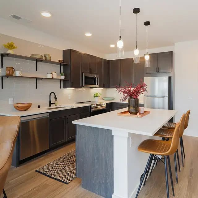 undefined apartments for rent - image - the_symphony_kitchen_3.jpeg.webp