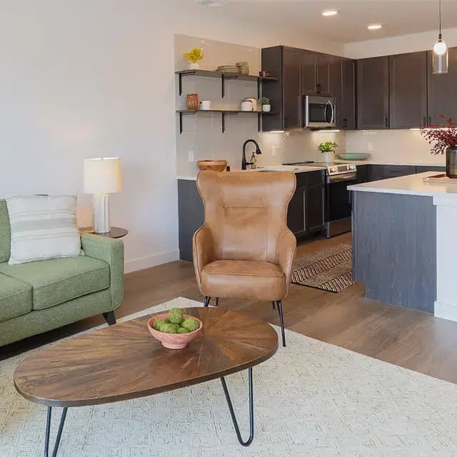 undefined apartments for rent - image - the_symphony_living_room_3.jpeg.webp