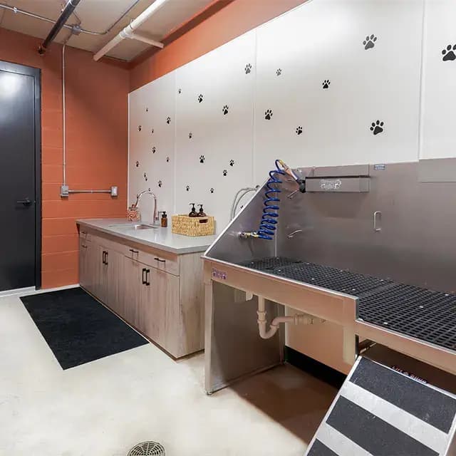 undefined apartments for rent - image - the_symphony_pet_spa.jpeg.webp