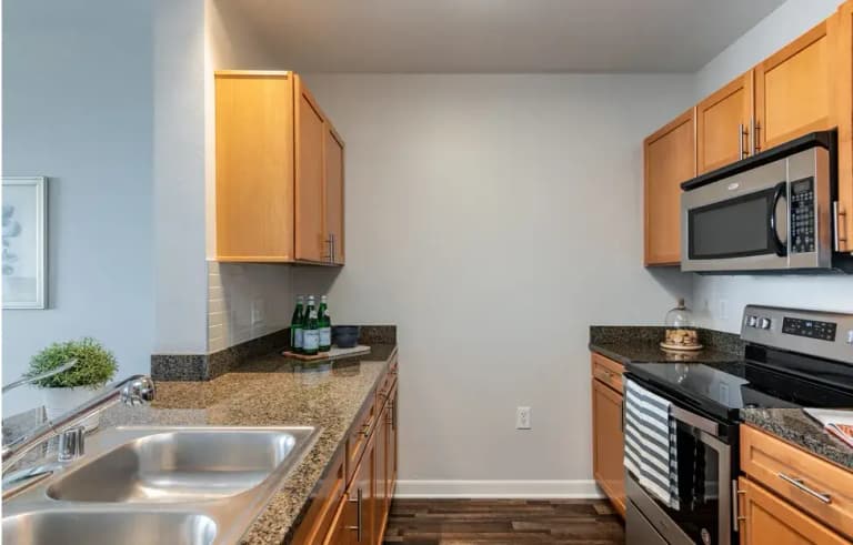 undefined apartments for rent - image - imgi_37_kitchen(1).png