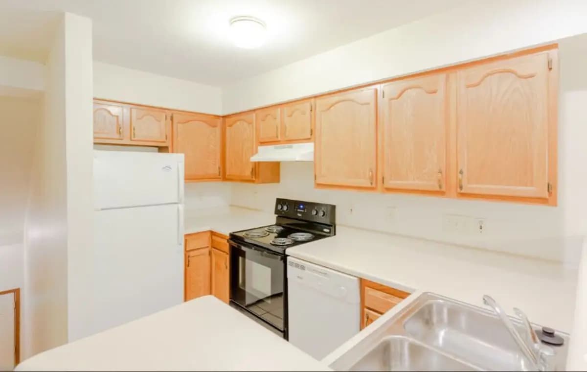 undefined apartments for rent - image - 148534024.jpg