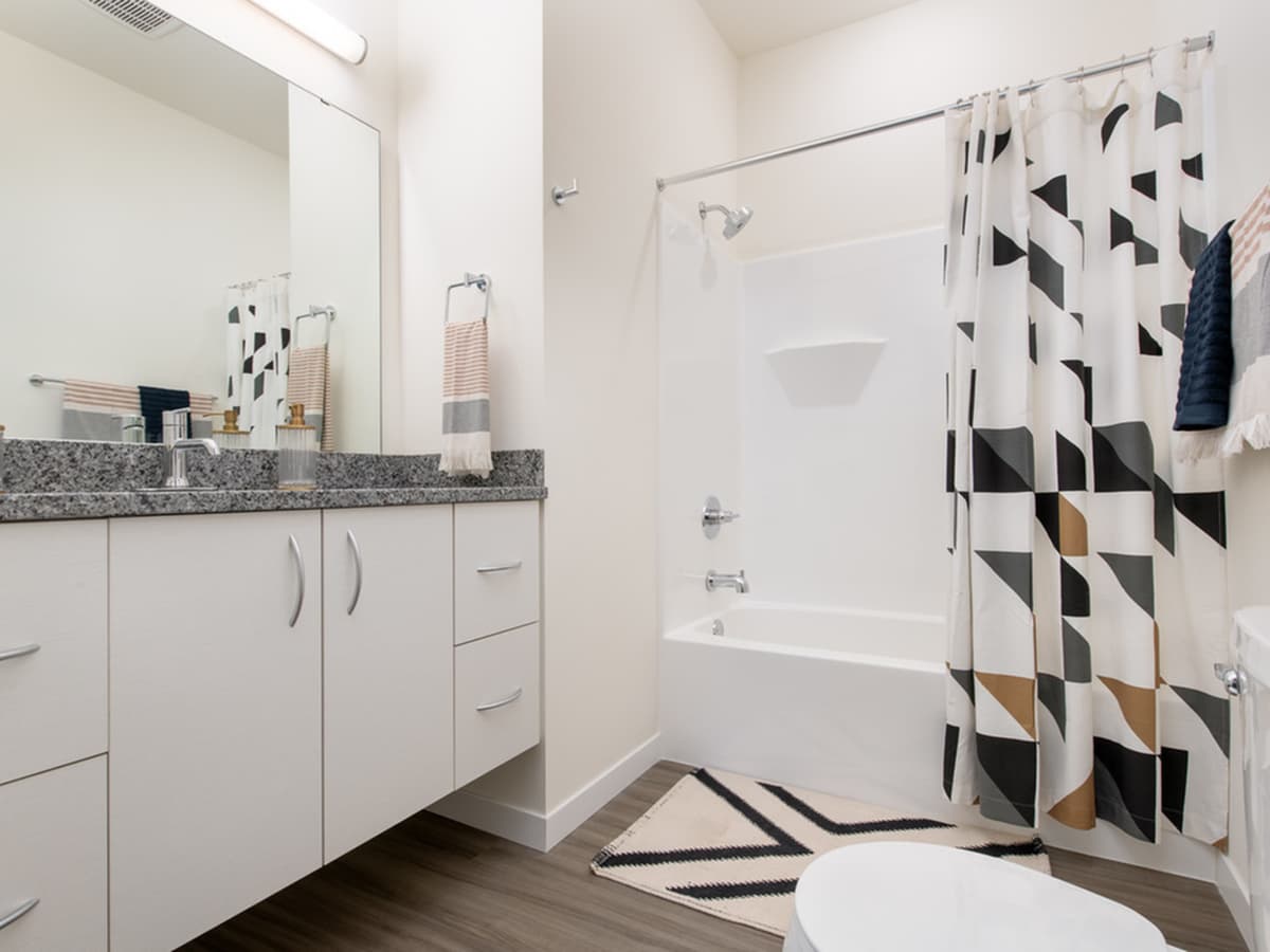 undefined apartments for rent - image - Vista - 1 Bed / 1 Bath - 708 SF - Bathroom