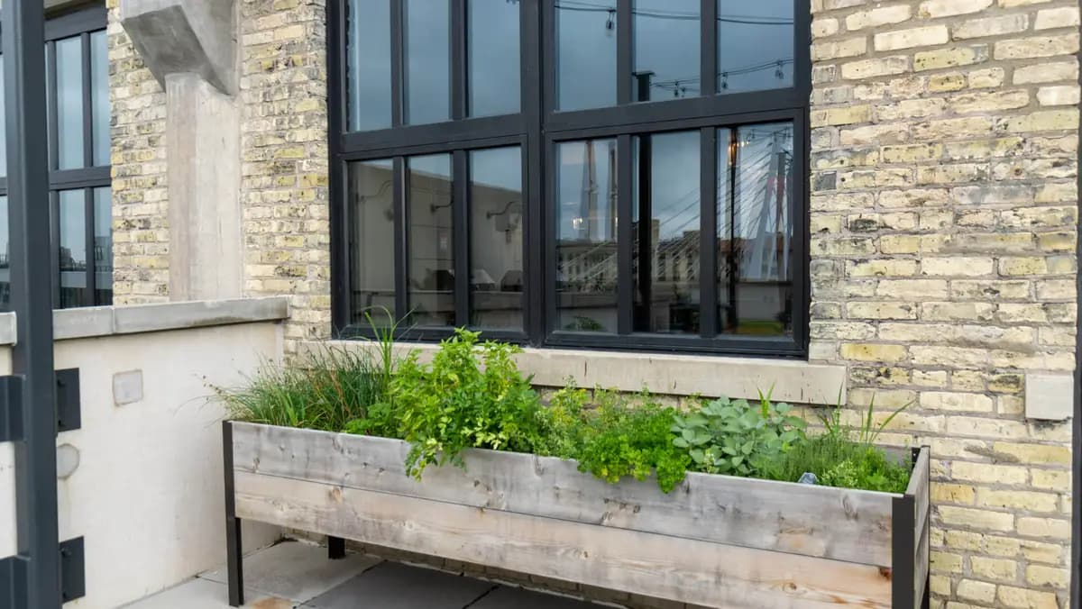 undefined apartments for rent - image - Pretty-Outdoor-Planter-Box.jpg