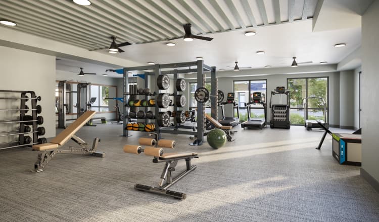 undefined apartments for rent - image - yardi_image_1769080184364_5