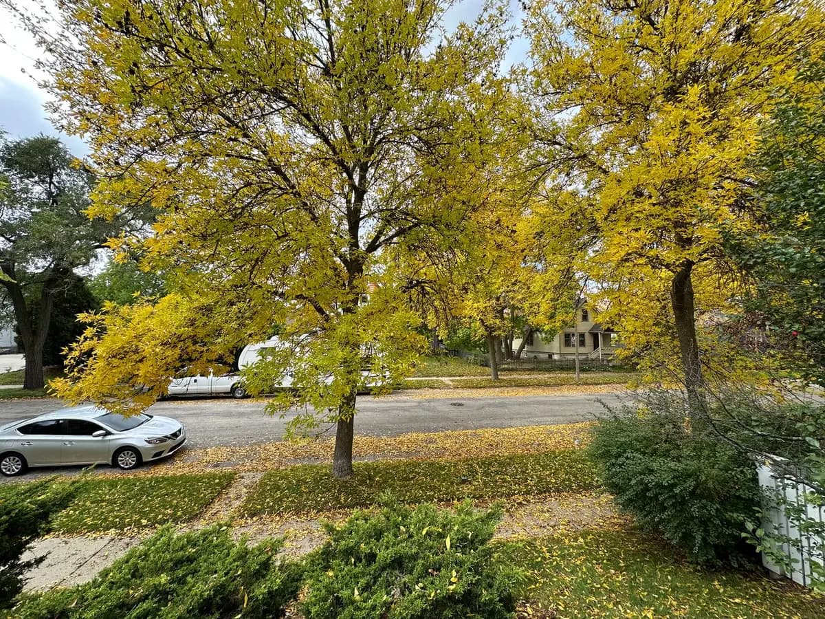 undefined apartments for rent - image - large (31).jpeg