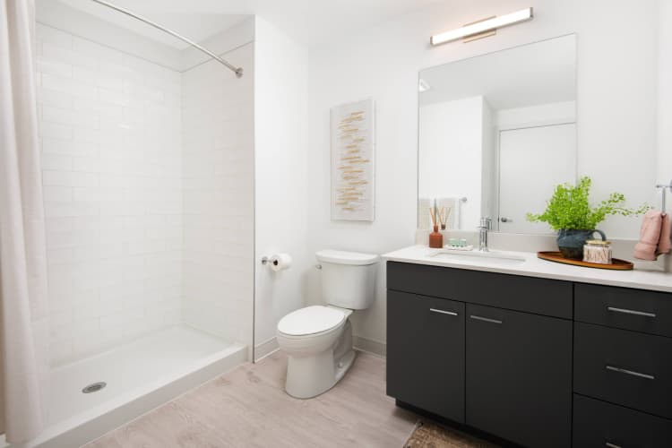 undefined apartments for rent - image - yardi_image_1769080629650_20