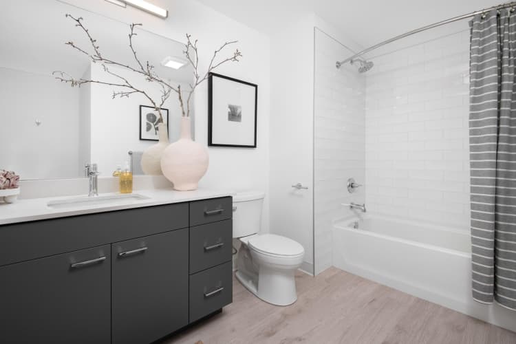 undefined apartments for rent - image - yardi_image_1769080629650_26