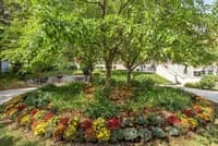 undefined apartments for rent - image - 680a531d810ca3.21874335596.webp