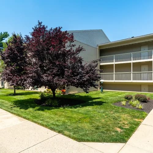 undefined apartments for rent - image - DSC08851_is2fhz.webp