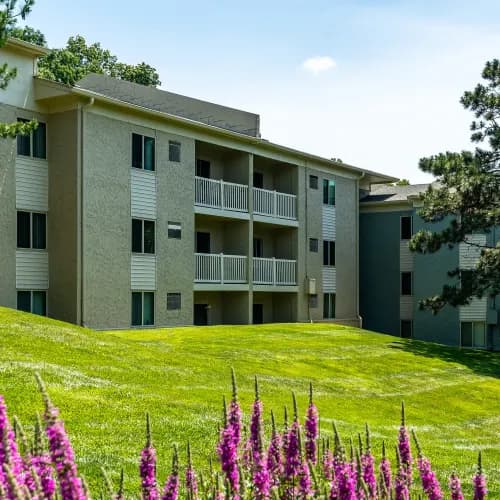undefined apartments for rent - image - DSC08862_juaivg.webp