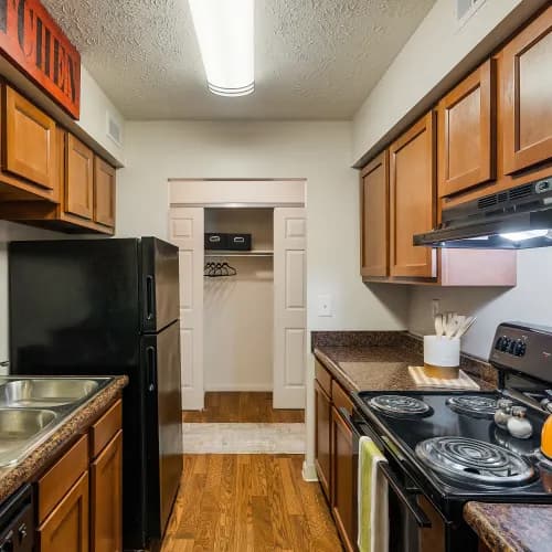 undefined apartments for rent - image - DSC08721_lnyuje.webp