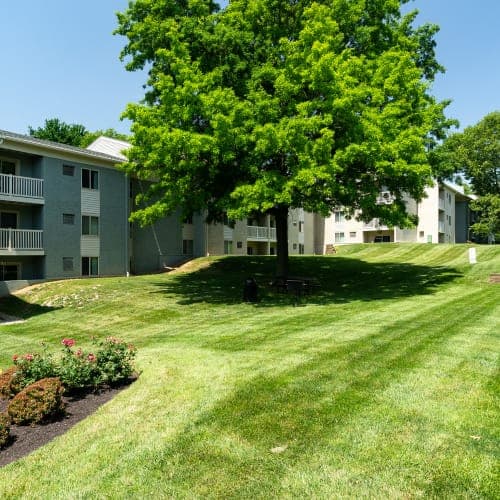 undefined apartments for rent - image - DSC08829_b2yiot.jpg